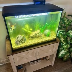 40 Gal Fish tank & Stand