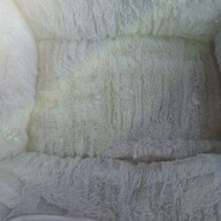 Small Dog/Cat Bed