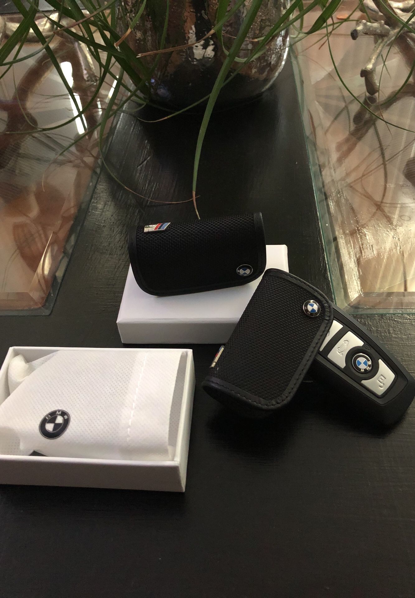 BMW M Sport Key Protector