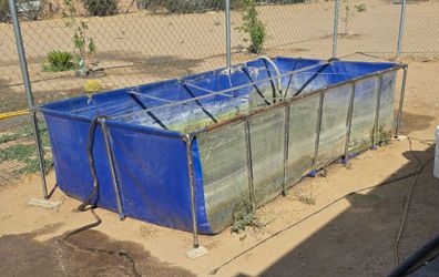 Pond/Pond accessories