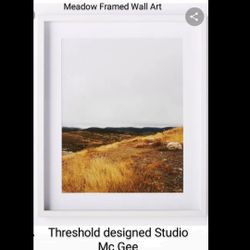 Brand New  Threshold Designed Studio Mc Gee Meadow frame Wall Art