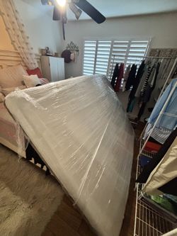 BEAR Queen All Foam Air Mattress