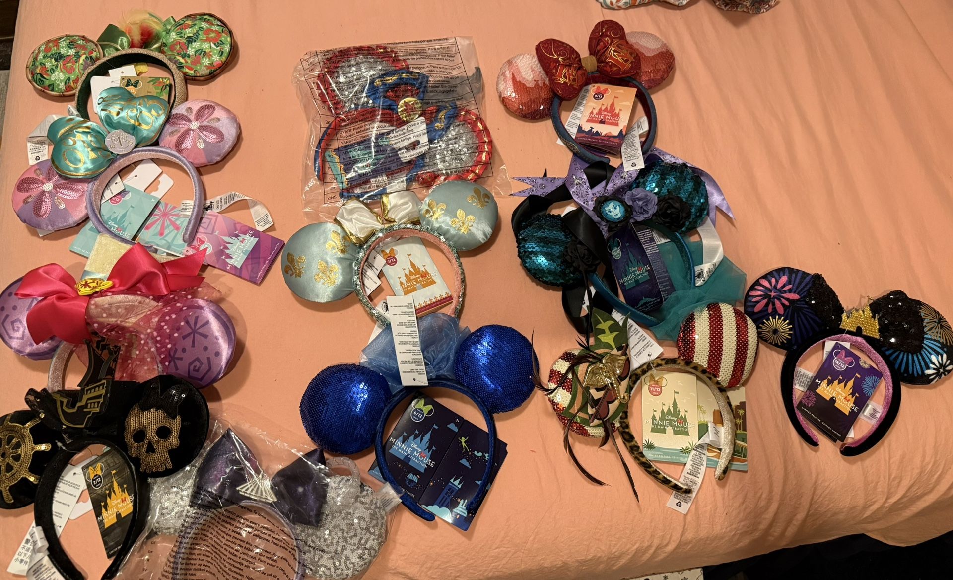 Disney Complete main attraction mini ears 12 series