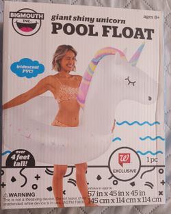 Pool Float