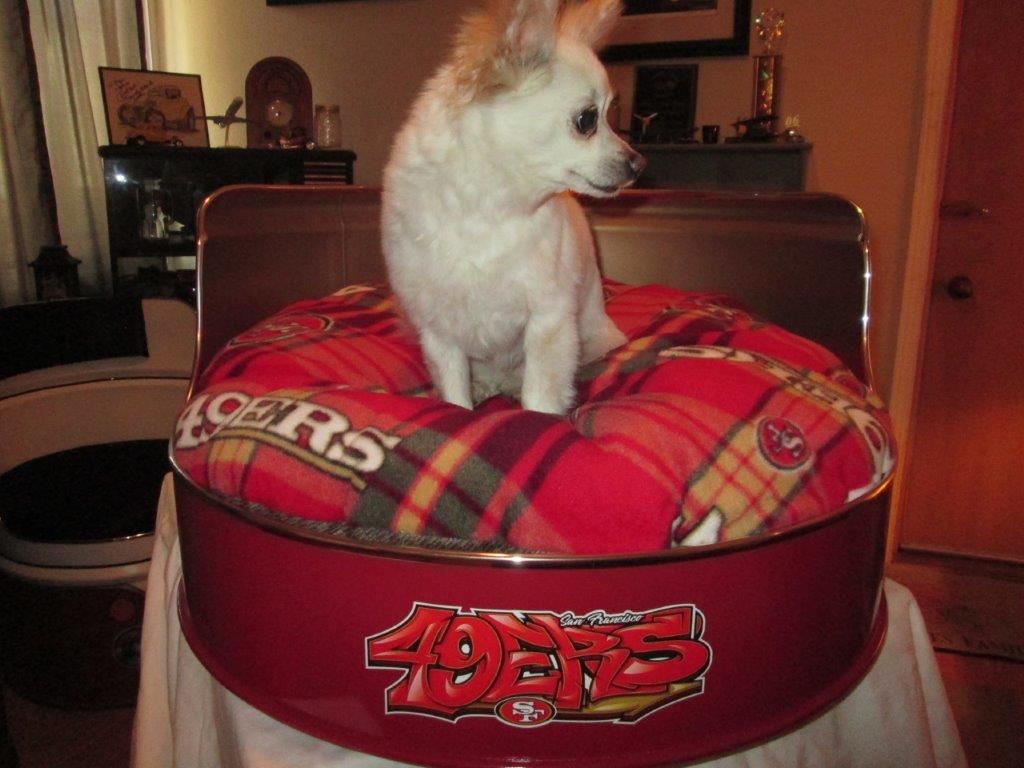 49ers Themed Pet Bed