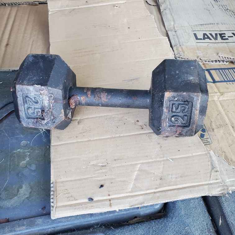 25lb Dumbbell 