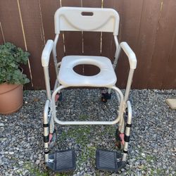 Shower/toilet chair