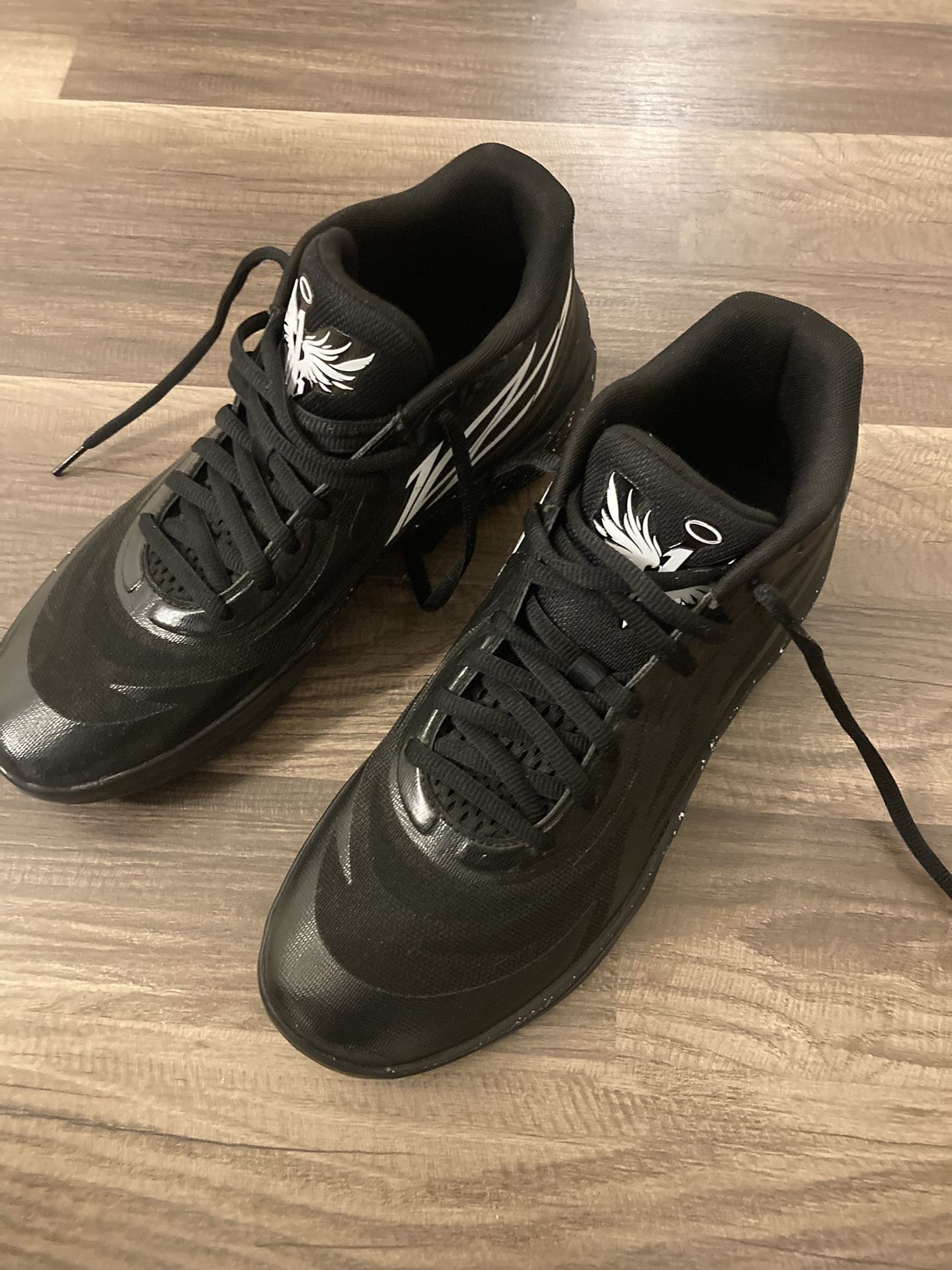 Puma