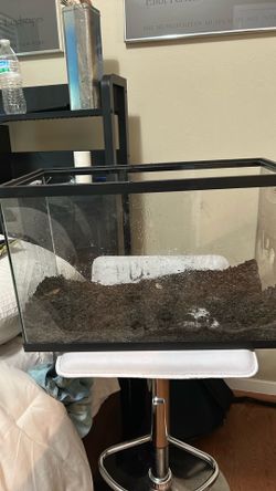 10 gallon tank
