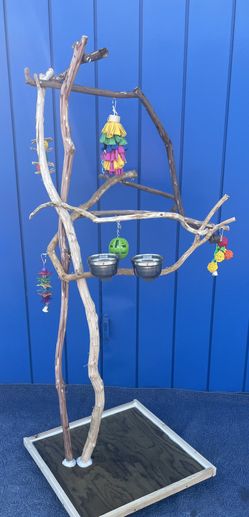 Simple Cockatiel Conure Play Tree !