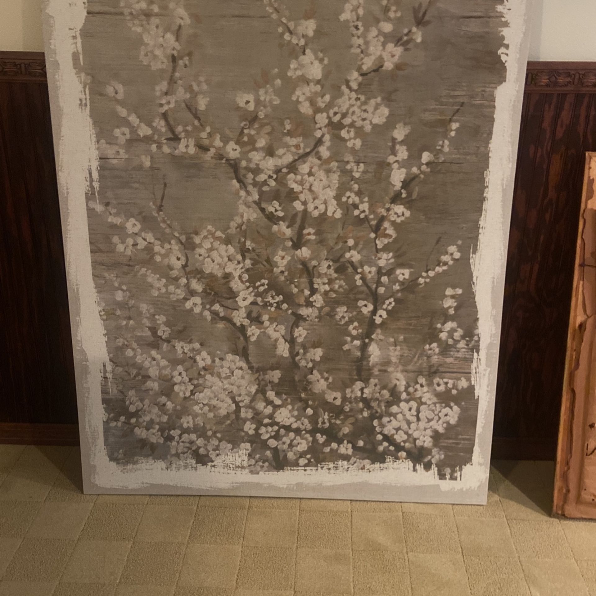 48” X 50”