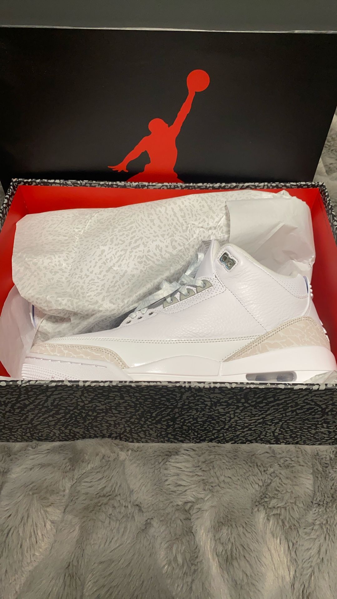 Jordan 3 Pure Money Size 10.5