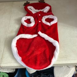 A dog Santa outfit