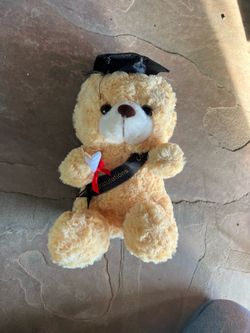 Graduation bear