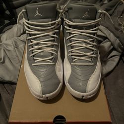 Jordan 12 Retro Stealth Size 10
