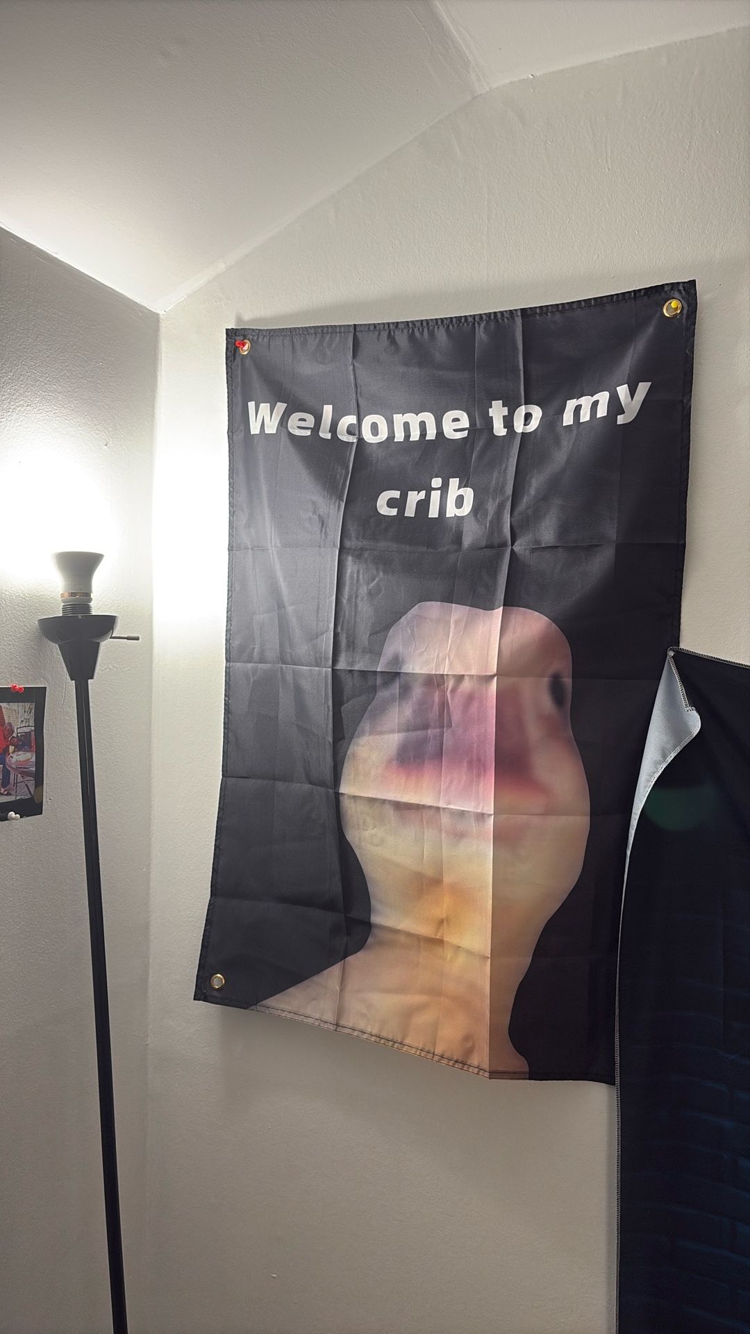 Welcome To My Crib