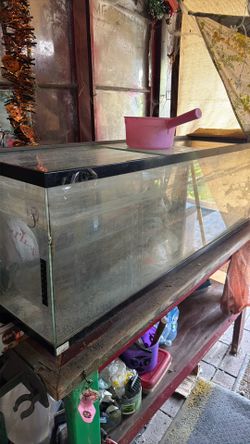 Fish tank