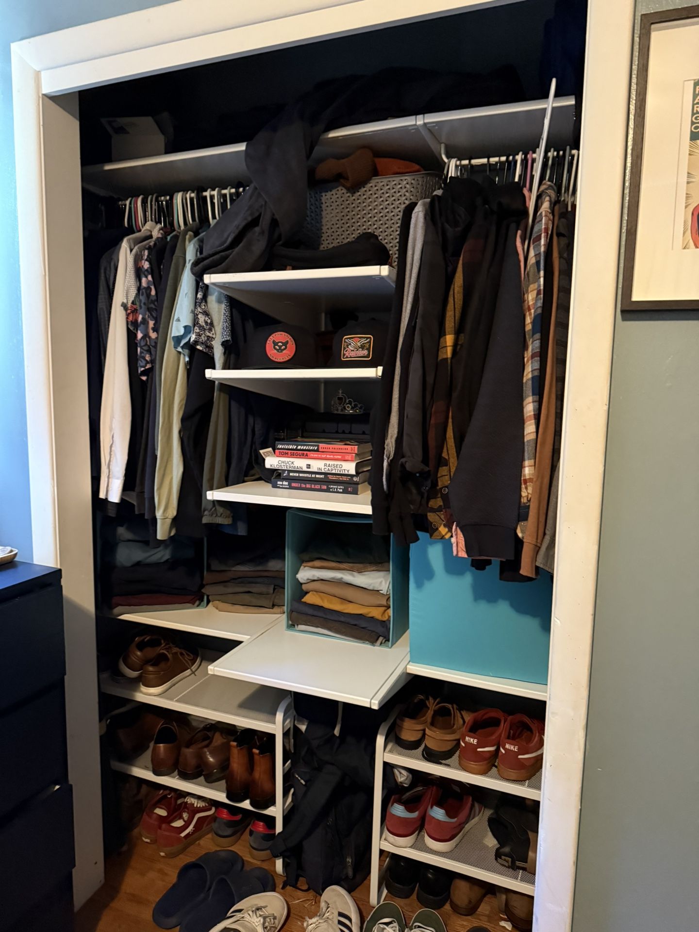 IKEA Algot closet System