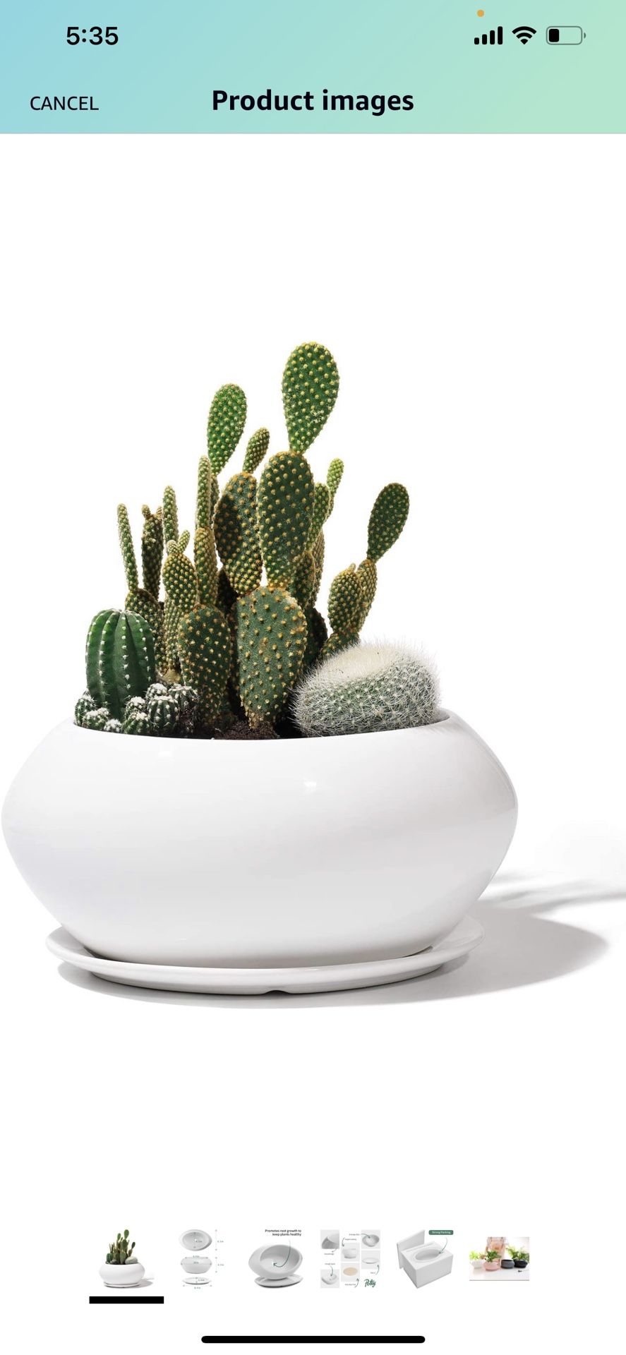 Ceramic Planter Pot