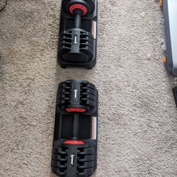 Adjustable Dumbbells (Max 88lbs Total) 