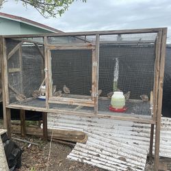 Jaula De Trampas Para Pájaros for Sale in Hialeah, FL - OfferUp