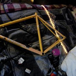 Special Bike Frame