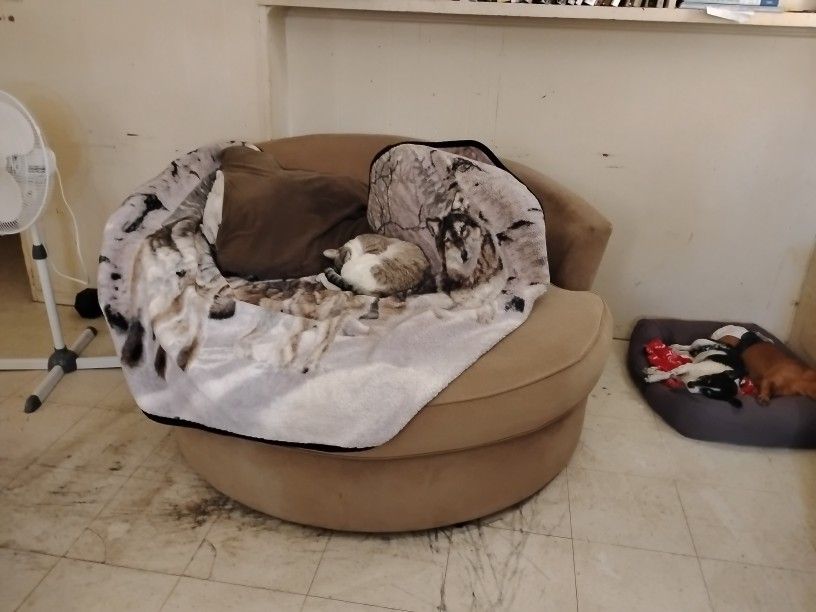Couch Spins