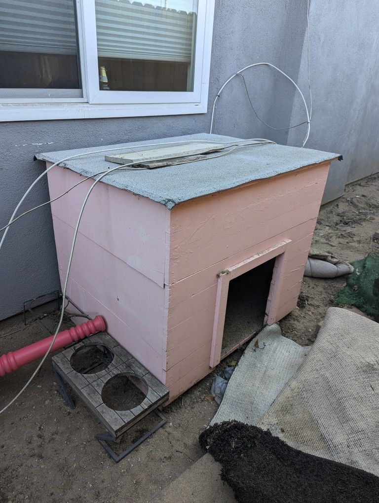 Dog House