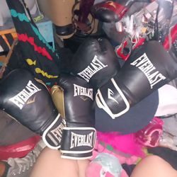 Everlast Boxing Gloves 