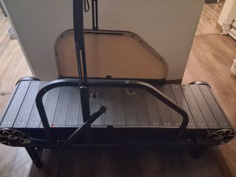 dog treadmill