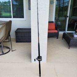 Diana Sealine 600H With Sand Up Rod