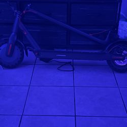 Electric scooter