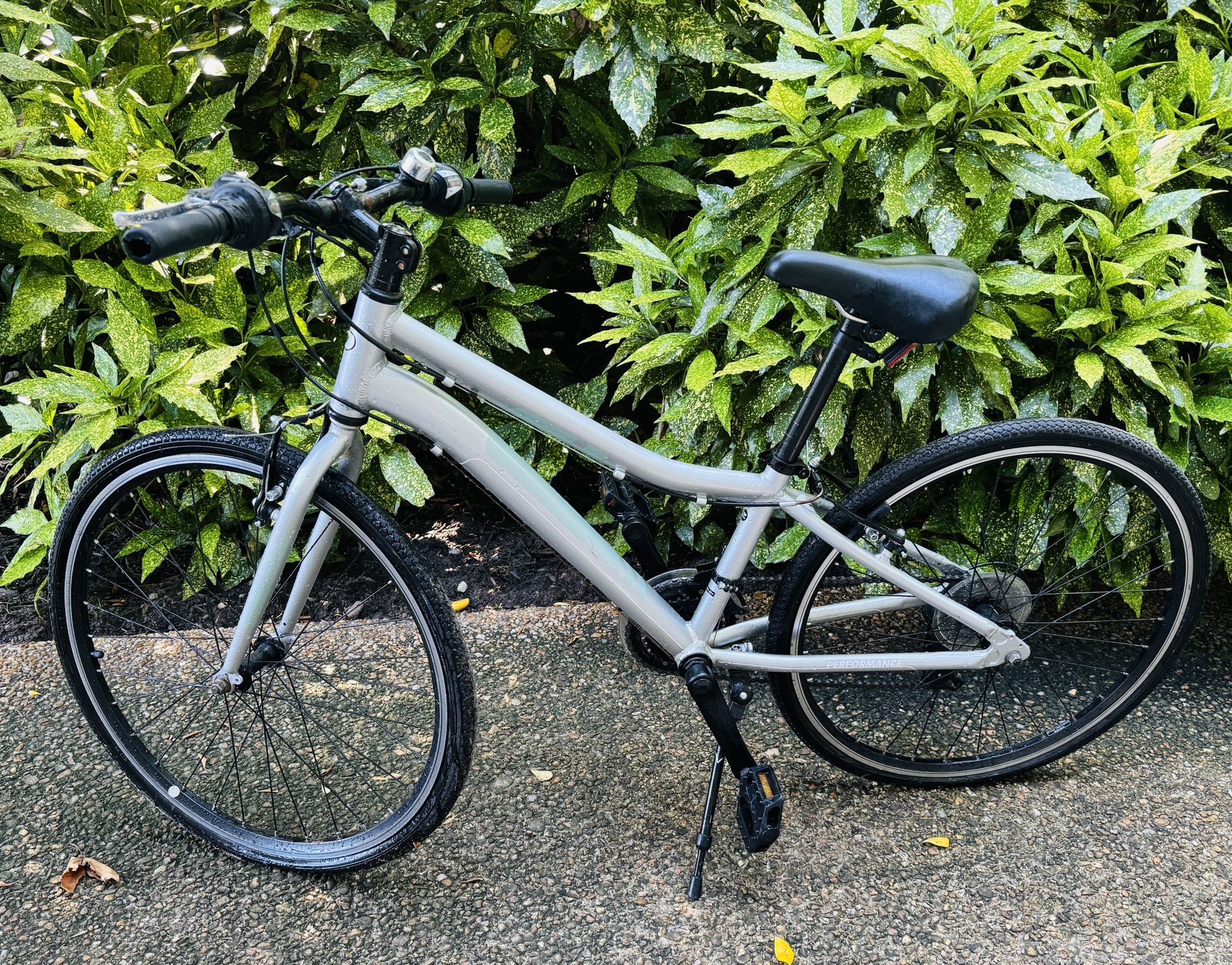 Lark 12” Frame Bicycle Perfect For Young Cyclist