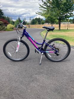 Girls Schwinn bike