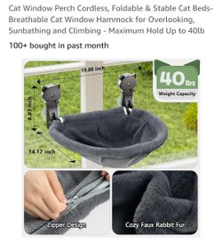 Cat Bed In Window