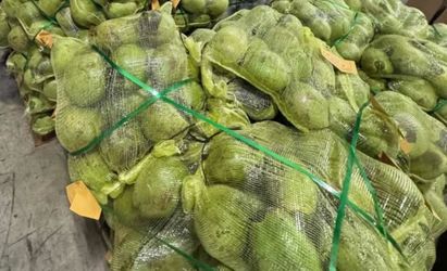 Fresh cocos al por mayor delivery free en la florida