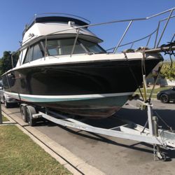 29 Wellcraft - no trailer