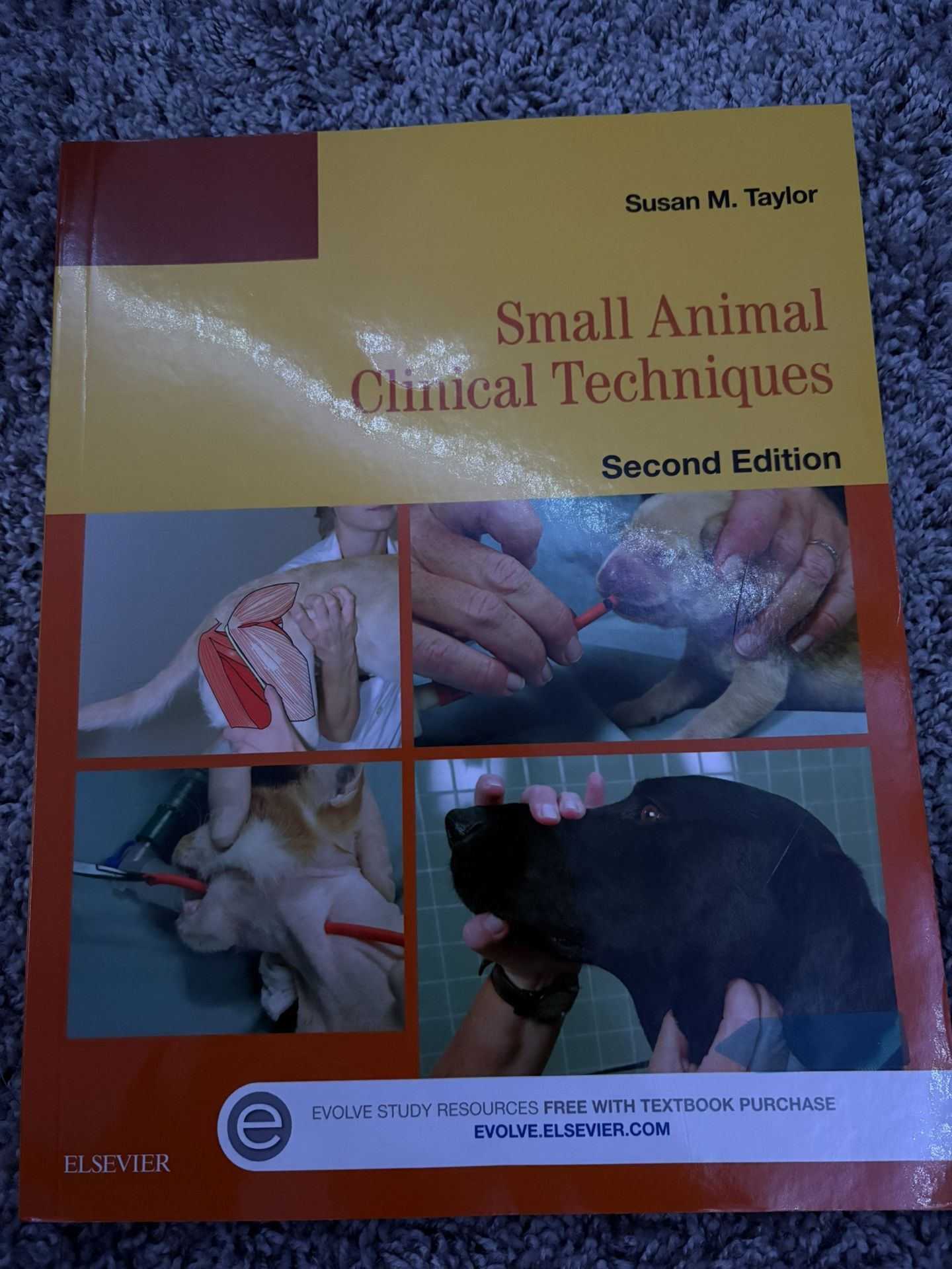 Small Animal Clinical Techniques