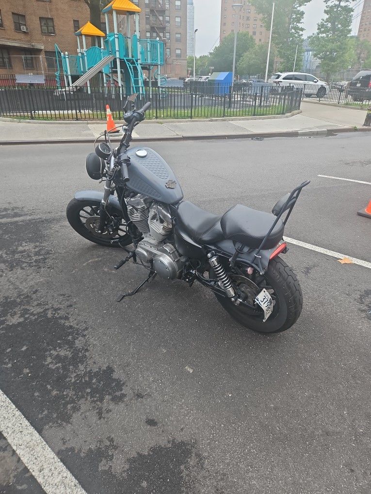 2008 Harley davidson Sportster XL883C