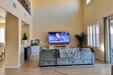 Gray Couch