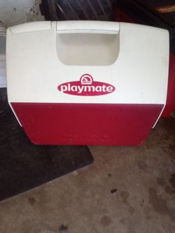 Playmate igloo