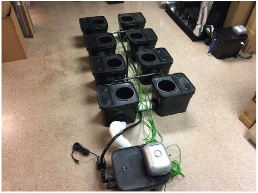 DWC Waterfall Hydroponics System