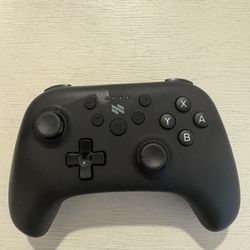 Nintendo Switch Controller 