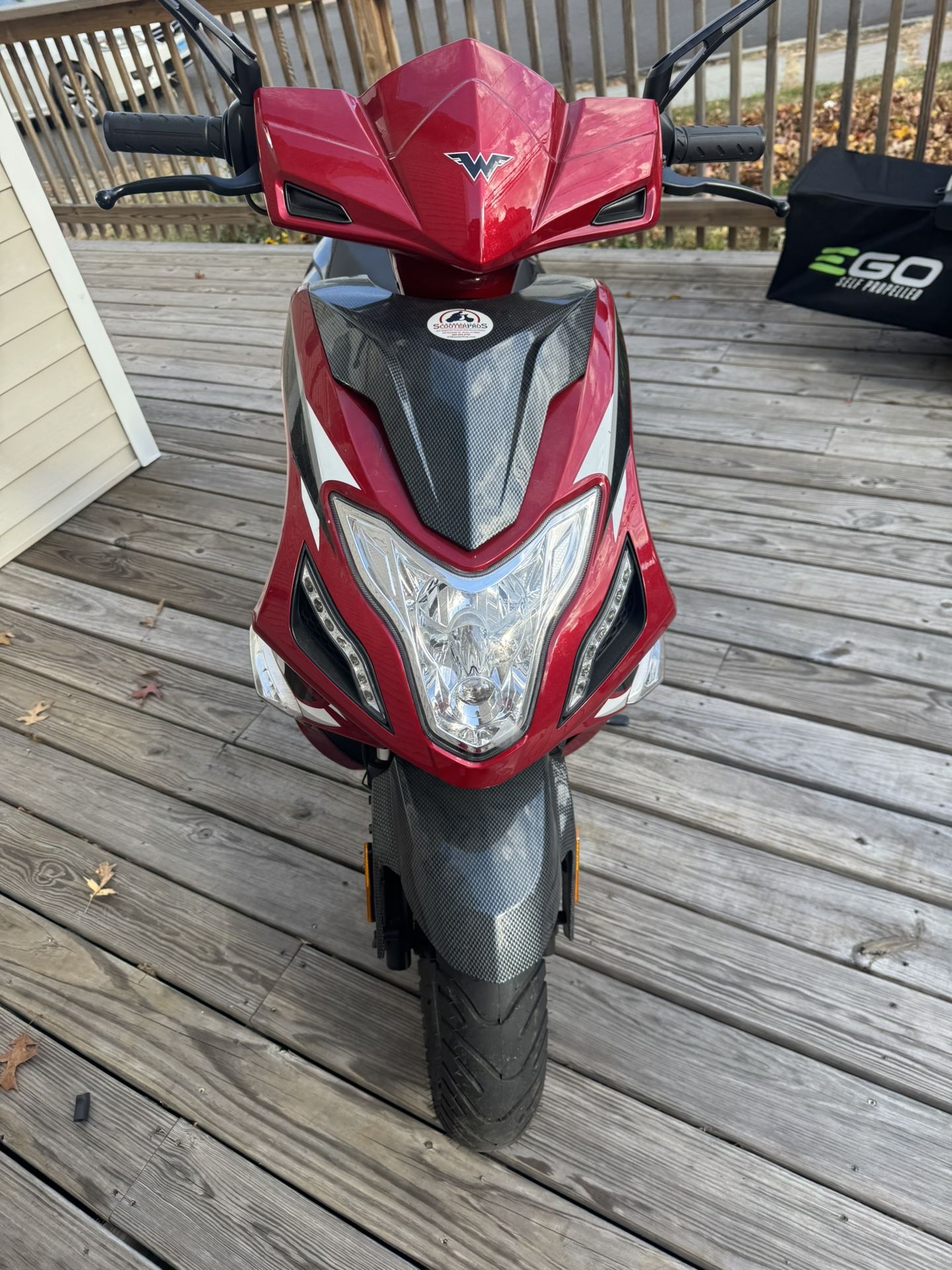 2022 ZHNG Wolf blazer