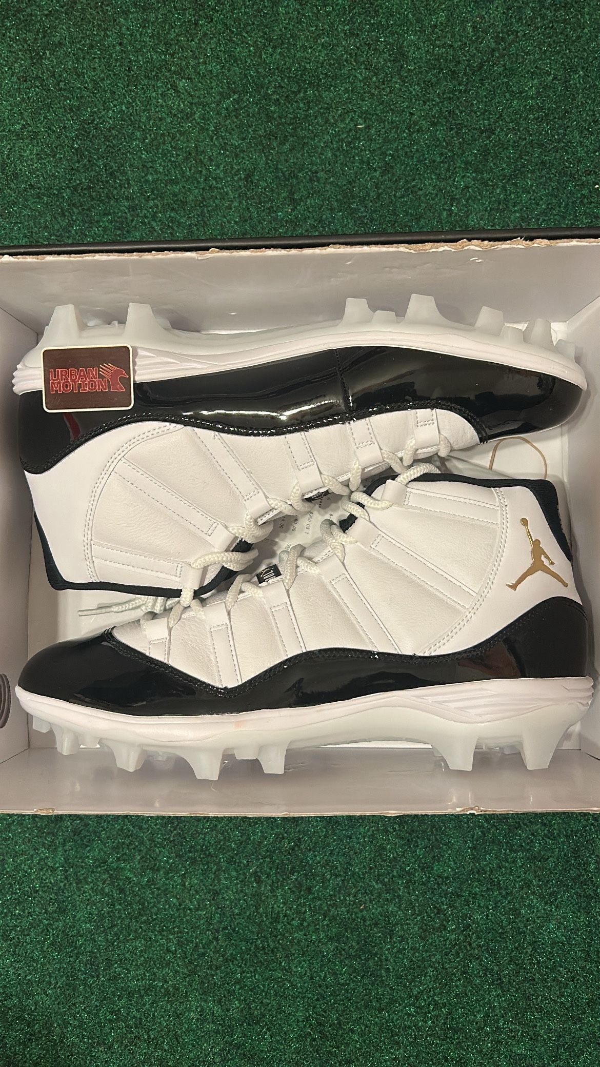 Air Jordan 11 Mid TD ‘Graditude’