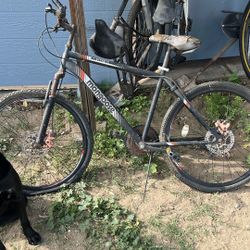 Mongoose Bike