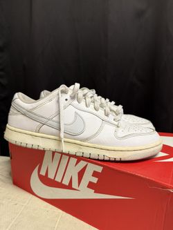 Dunks Size 9.5 Men