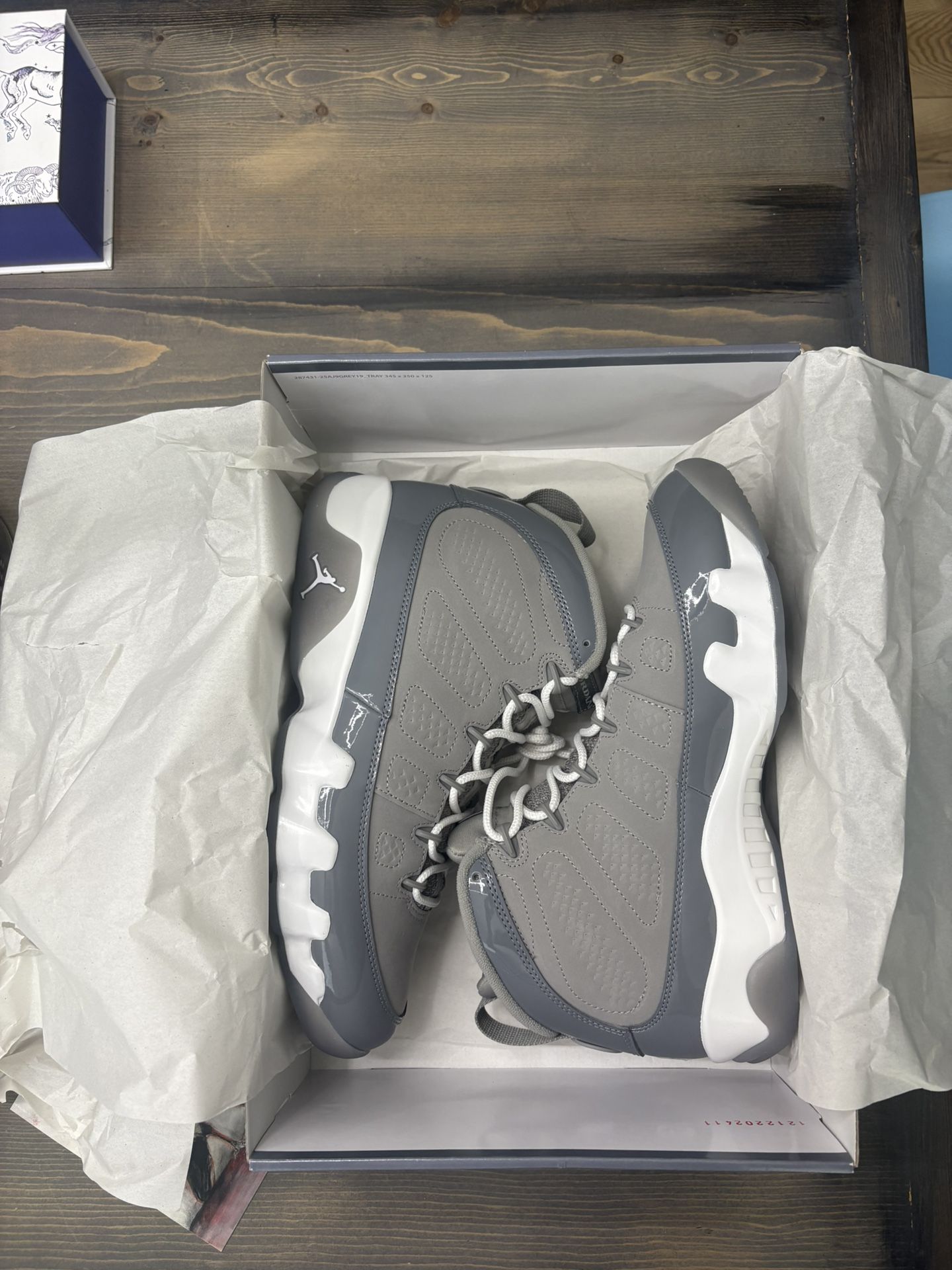 Nike Jordan Cool Grey 9 Brand New 