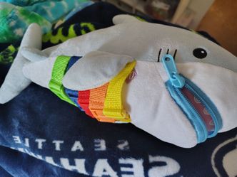 Buckle shark
