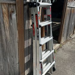 Little Giant Ladder